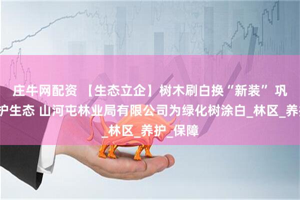 庄牛网配资 【生态立企】树木刷白换“新装” 巩固绿化护生态 山河屯林业局有限公司为绿化树涂白_林区_养护_保障