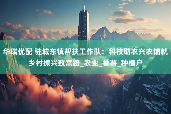 华瑞优配 驻城东镇帮扶工作队：科技助农兴农铺就乡村振兴致富路_农业_番薯_种植户