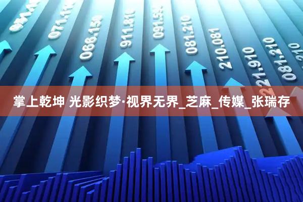 掌上乾坤 光影织梦·视界无界_芝麻_传媒_张瑞存