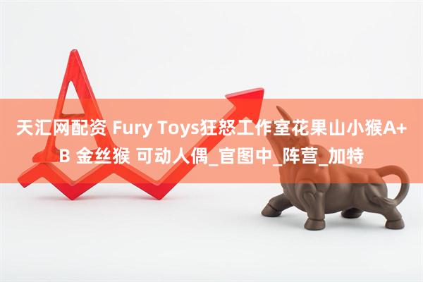 天汇网配资 Fury Toys狂怒工作室花果山小猴A+B 金丝猴 可动人偶_官图中_阵营_加特