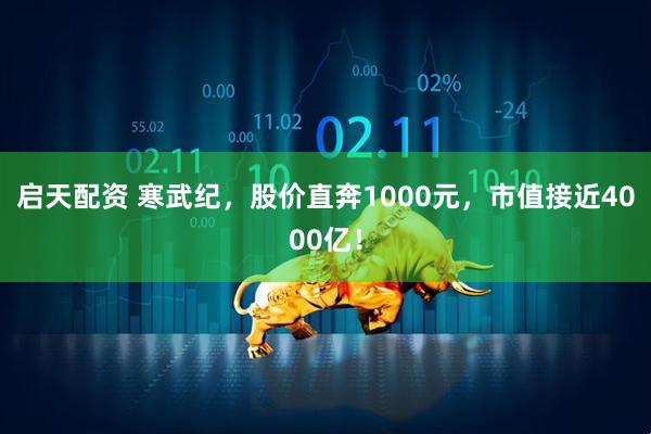 启天配资 寒武纪，股价直奔1000元，市值接近4000亿！