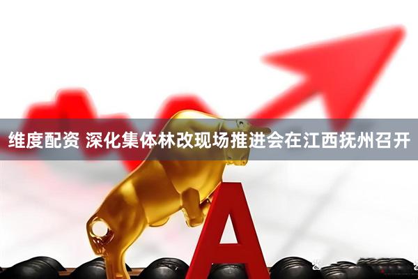 维度配资 深化集体林改现场推进会在江西抚州召开